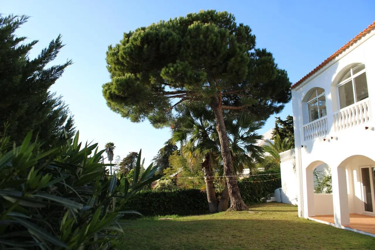 Casa Carioca Carvoeiro Bed & Breakfast Carvoeiro  Portugal